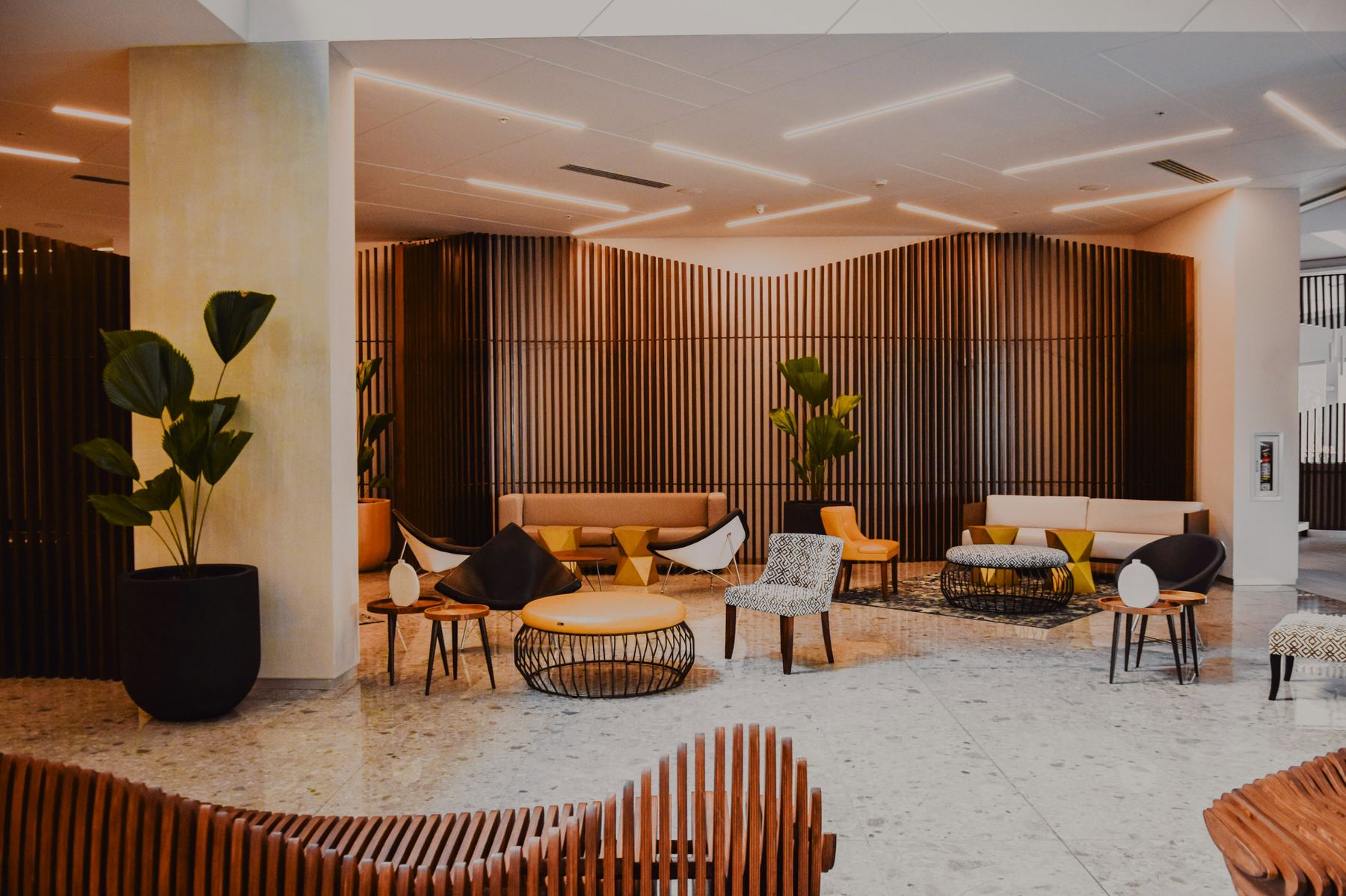 A warm, contemporary lounge with curved wooden seating